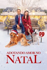 Adotando Amor no Natal