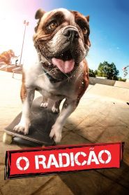 O Radicão