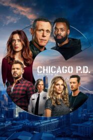 Chicago P.D.: Distrito 21